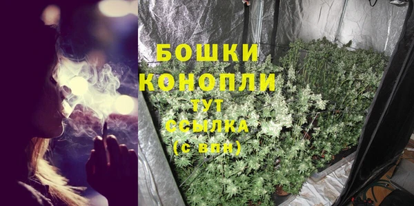 ECSTASY Гусев
