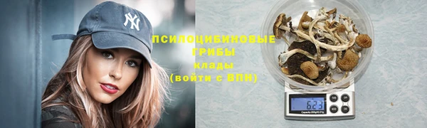 марихуана Гусиноозёрск