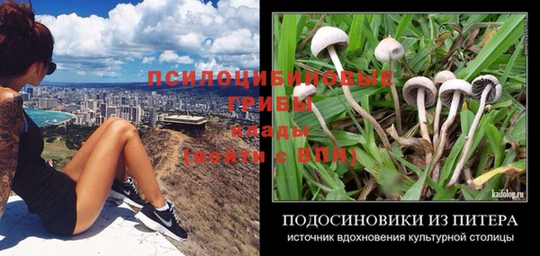 марихуана Гусиноозёрск