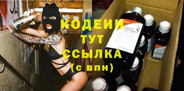 дживик Гусь-Хрустальный