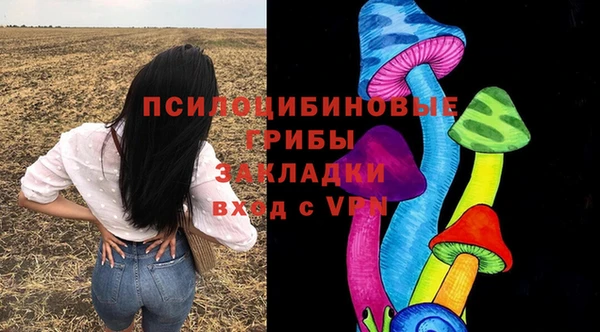 ECSTASY Гусев