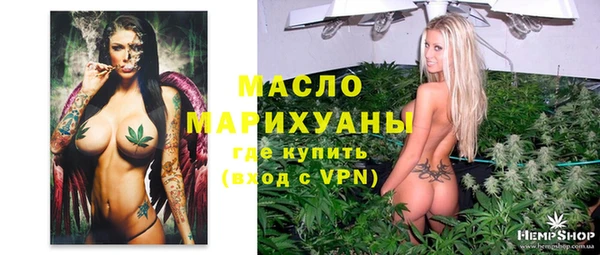 дживик Гусь-Хрустальный