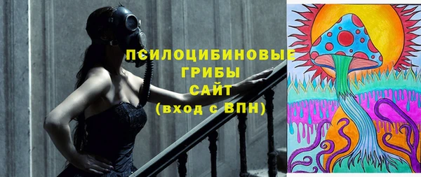дживик Гусь-Хрустальный