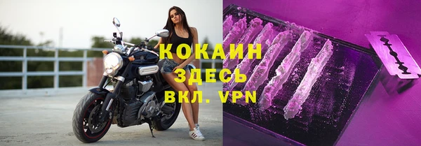 дживик Гусь-Хрустальный