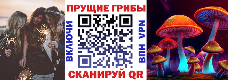 Купить где Новомичуринск Галлюциногенные грибы мухоморы
